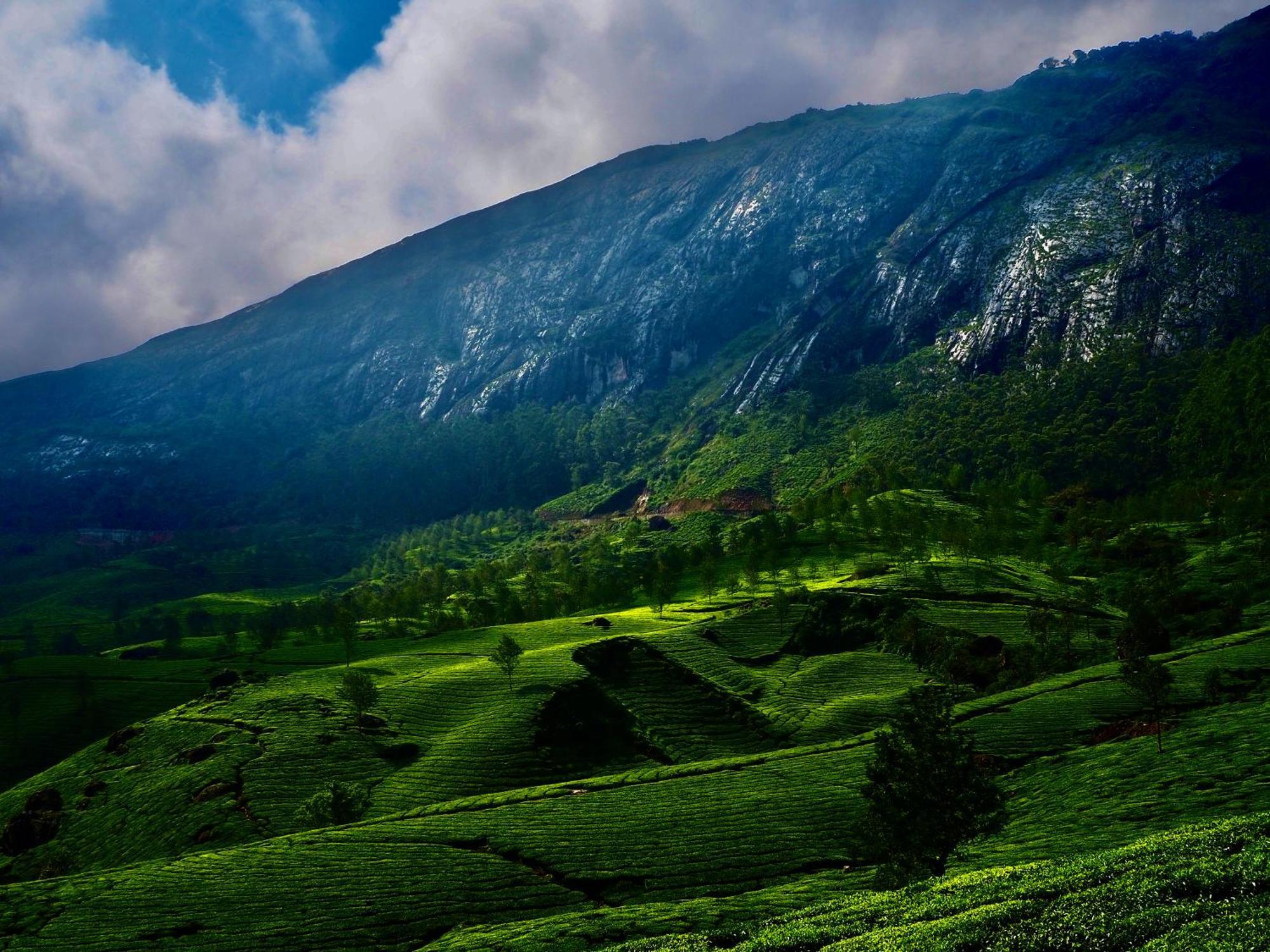 Lockhart Bungalow Munnar - A Cgh Earth Saha Experience Exterior photo